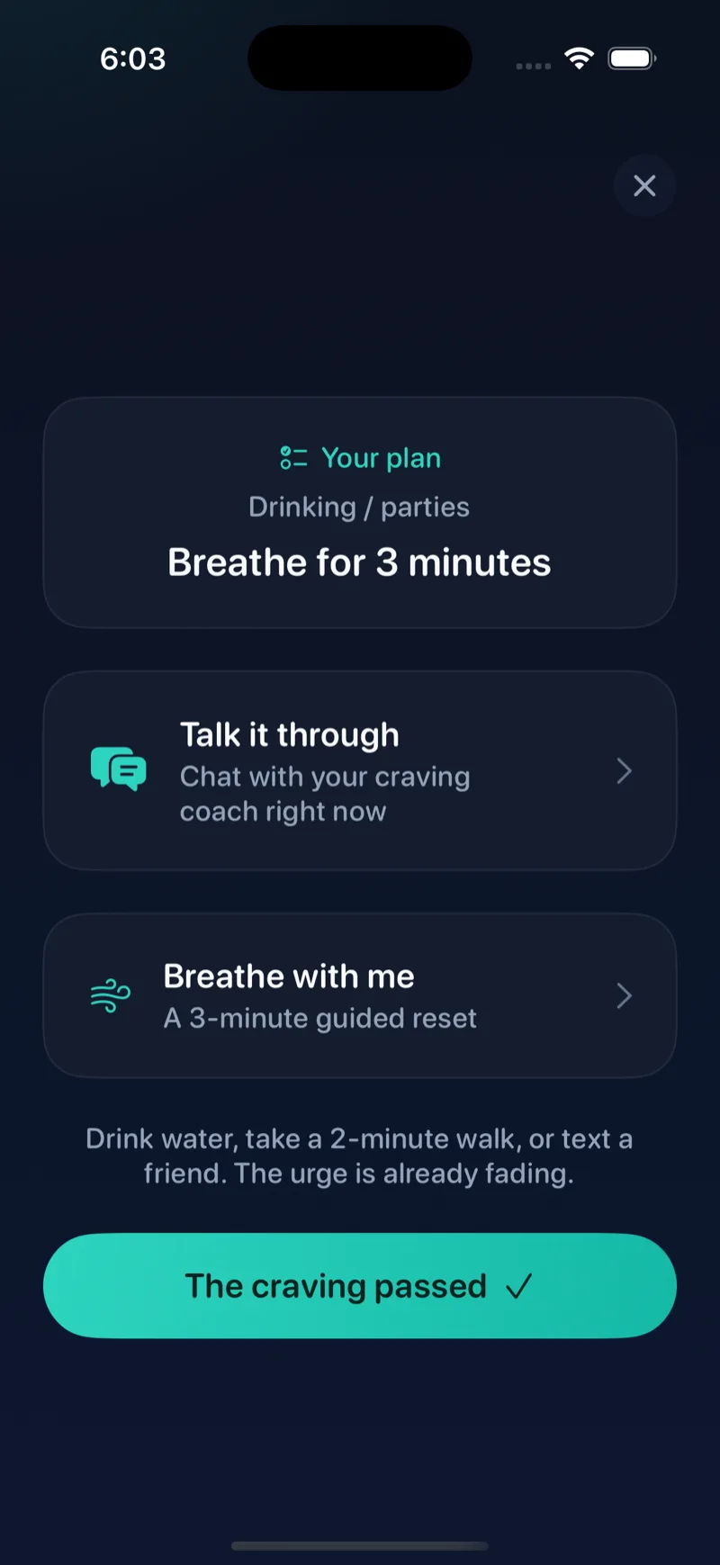 The Unhooked panic screen showing your personal plan for the trigger you're facing, with options to talk it through or breathe.